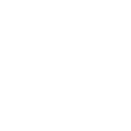 Lim Logo